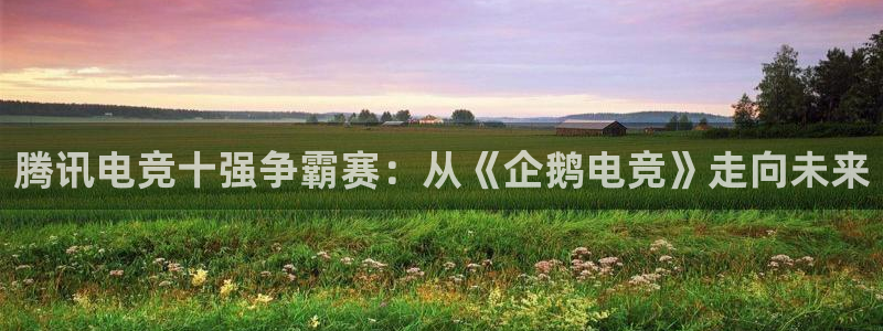 乐竞电竞体育官网：腾讯电竞十强争霸赛：从《企鹅电竞》走向未来