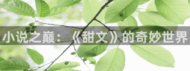 乐竞电竞平台：小说之巅：《甜文》的奇妙世界
