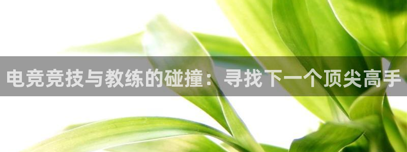 乐竞电竞app官方入口下载：电竞竞技与教练的碰撞：寻找下一个顶尖高手