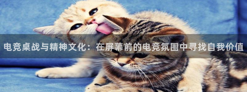 乐竞电竞锁定金额：电竞桌战与精神文化：在屏幕前的电竞氛围中寻找自我价值
