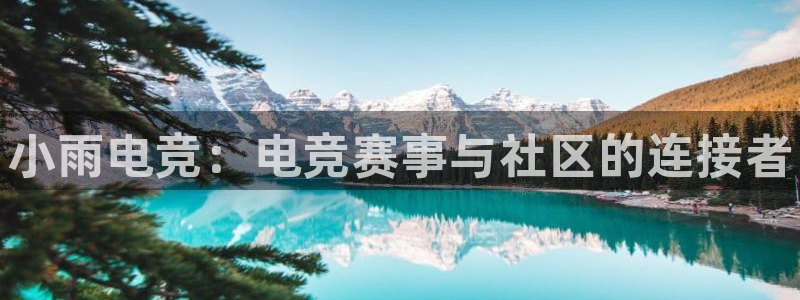 乐竞电竞：小雨电竞：电竞赛事与社区的连接者