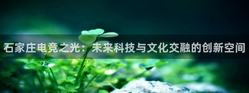 乐竞电竞官网入口：石家庄电竞之光：未来科技与文化交融的创新空间