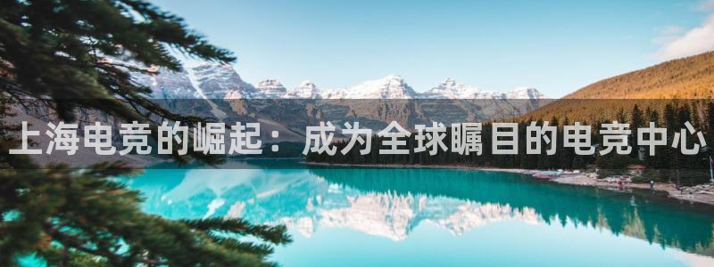 乐竞电竞app：上海电竞的崛起：成为全球瞩目的电竞中心
