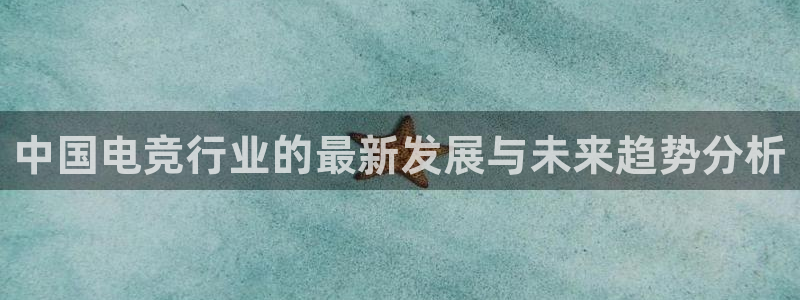 乐竞电竞app：中国电竞行业的最新发展与未来趋势分析