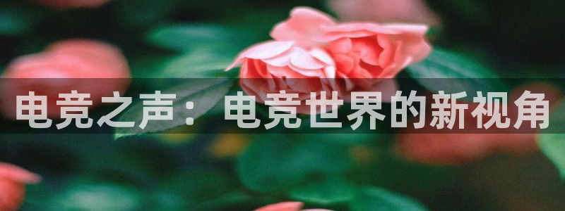 成都乐竞电竞青训基地：电竞之声：电竞世界的新视角