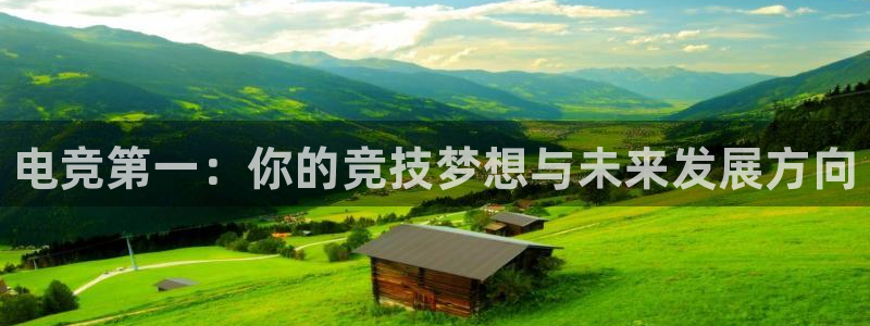 乐竞电竞app：电竞第一：你的竞技梦想与未来发展方向