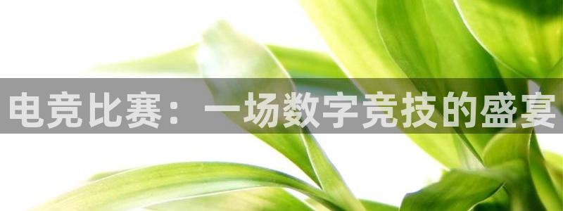 乐竞电竞官网入口：电竞比赛：一场数字竞技的盛宴