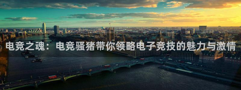 乐竞电竞体育官网：电竞之魂：电竞骚猪带你领略电子竞技的魅力与激情