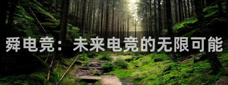 乐竞电竞app：舜电竞：未来电竞的无限可能