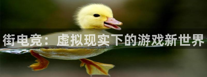 乐竞电竞官网：街电竞：虚拟现实下的游戏新世界
