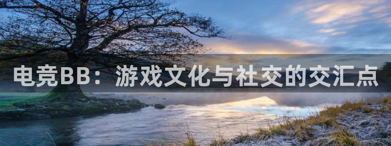 乐竞电竞官网：电竞BB：游戏文化与社交的交汇点