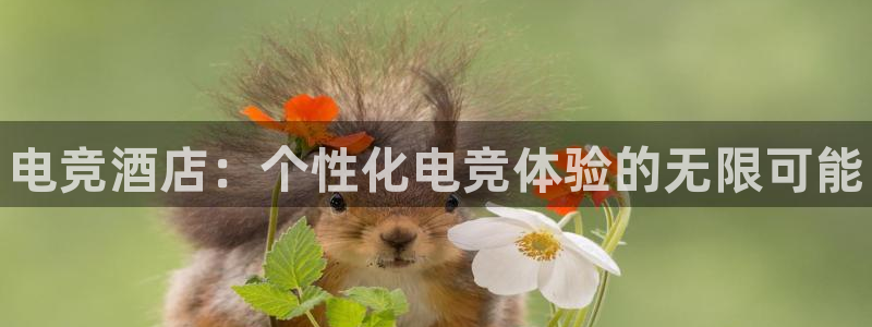 乐竞电竞官网首页：电竞酒店：个性化电竞体验的无限可能
