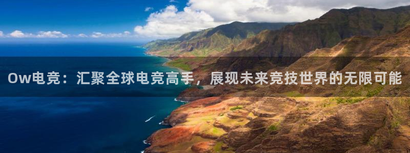乐竞电竞平台：Ow电竞：汇聚全球电竞高手，展现未来竞技世界的无限可能