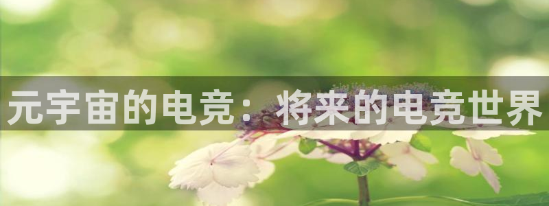 乐竞电竞青训基地：元宇宙的电竞：将来的电竞世界