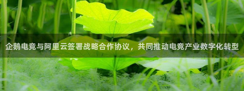 乐竞电竞：企鹅电竞与阿里云签署战略合作协议，共同推动电竞产业数字化转型