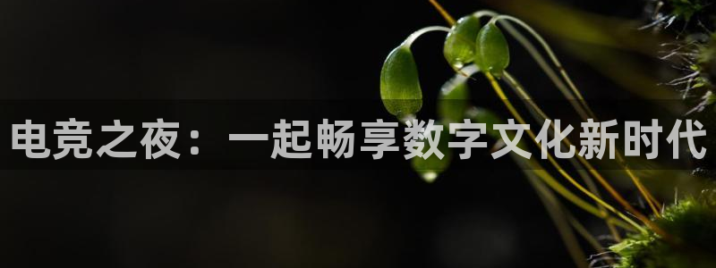 乐竞电竞竞猜：电竞之夜：一起畅享数字文化新时代
