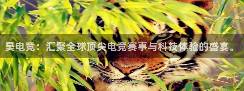 乐竞电竞锁定金额：昊电竞：汇聚全球顶尖电竞赛事与科技体验的盛宴。