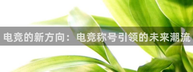 乐竞电竞平台：电竞的新方向：电竞称号引领的未来潮流