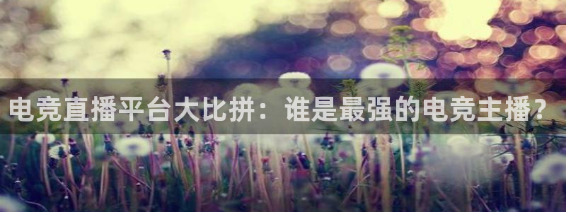 乐竞电竞官网入口：电竞直播平台大比拼：谁是最强的电竞主播？
