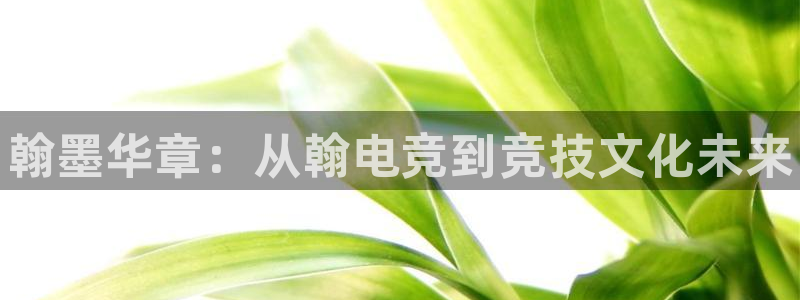 乐竞电竞官网：翰墨华章：从翰电竞到竞技文化未来