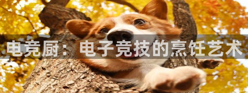 乐竞电竞青训基地：电竞厨：电子竞技的烹饪艺术