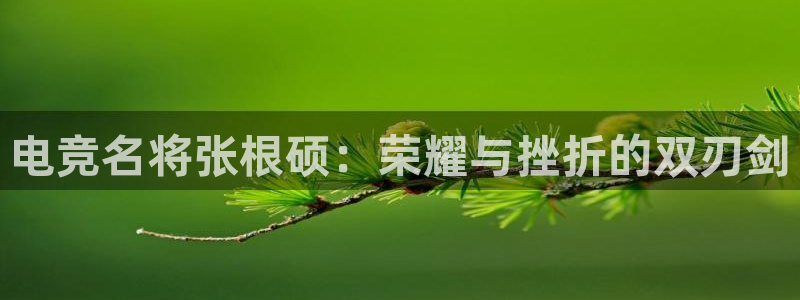 乐竞电竞官网入口：电竞名将张根硕：荣耀与挫折的双刃剑