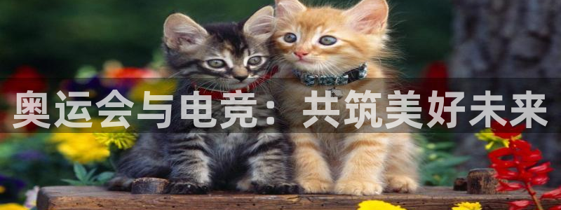 乐竞电竞青训基地怎么样：奥运会与电竞：共筑美好未来