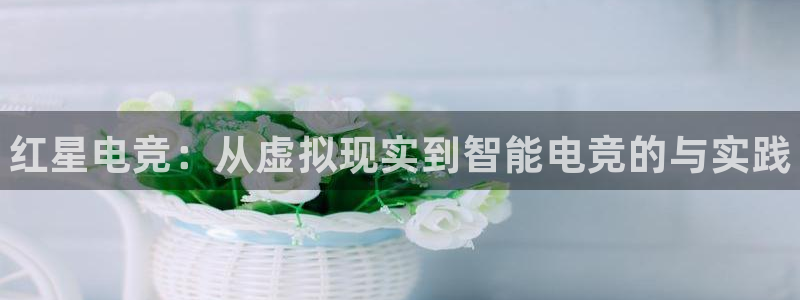 乐竞电竞app官方入口下载：红星电竞：从虚拟现实到智能电竞的与实践