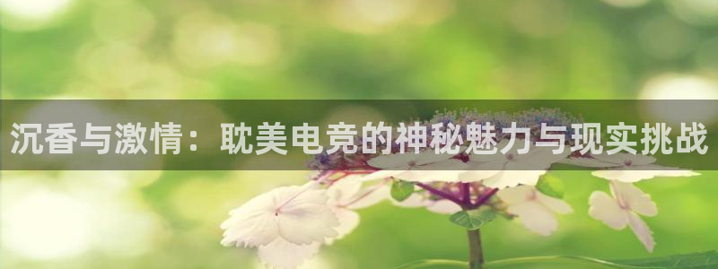 成都乐竞电竞青训基地：沉香与激情：耽美电竞的神秘魅力与现实挑战
