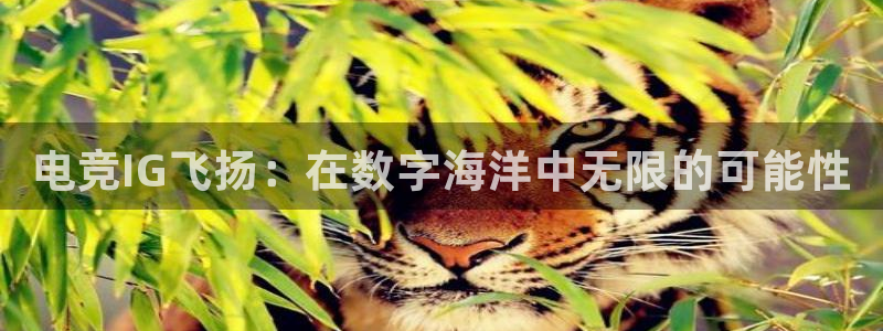 乐竞电竞app：电竞IG飞扬：在数字海洋中无限的可能性