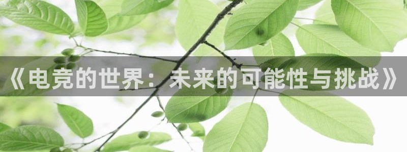 乐竞电竞官网：《电竞的世界：未来的可能性与挑战》