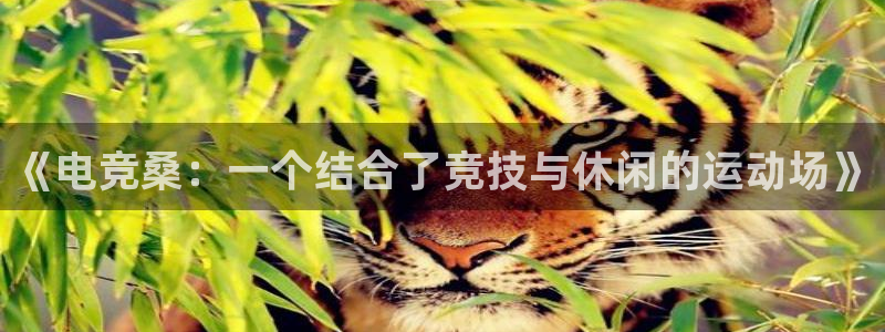乐竞电竞官网：《电竞桑：一个结合了竞技与休闲的运动场》
